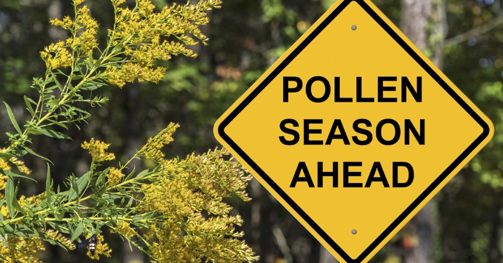 Road sign that says, Pollen Season Ahead